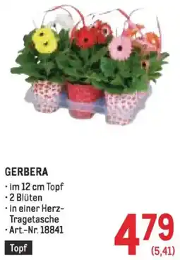 Metro Gerbera Angebot