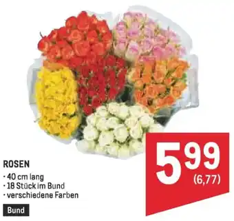 Metro Rosen Angebot