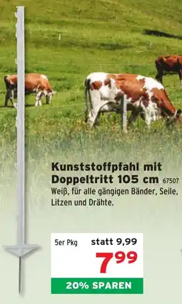 Salzburger Lagerhaus Kunststoffpfahl mit Doppeltritt Angebot