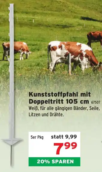 Salzburger Lagerhaus Kunststoffpfahl mit Doppeltritt Angebot