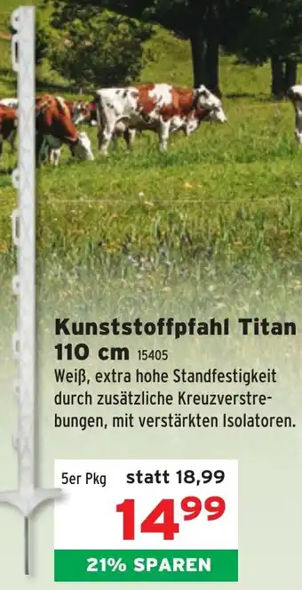 Salzburger Lagerhaus Kunststoffpfahl Titan Angebot