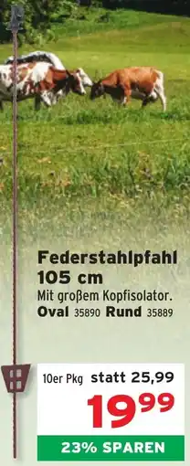 Salzburger Lagerhaus Federstahlpfahl Angebot