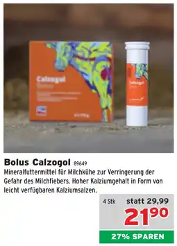 Salzburger Lagerhaus Bolus calzogol Angebot