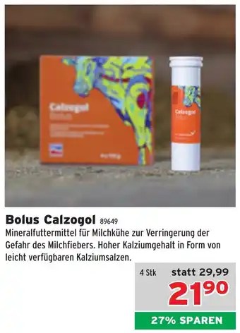 Salzburger Lagerhaus Bolus calzogol Angebot