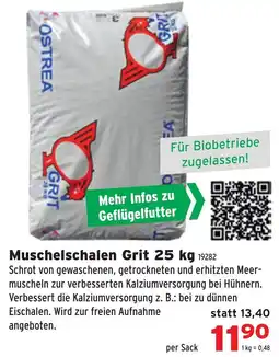 Salzburger Lagerhaus Muschelschalen grit Angebot