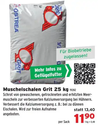 Salzburger Lagerhaus Muschelschalen grit Angebot