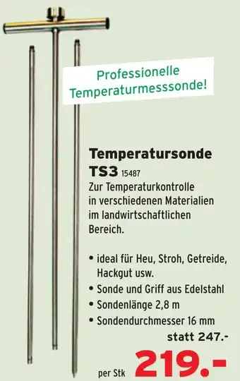 Salzburger Lagerhaus Temperatursonde ts3 Angebot