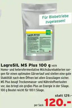Salzburger Lagerhaus Lagrosil ms plus Angebot
