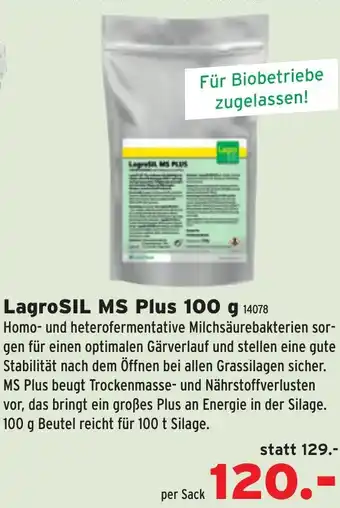 Salzburger Lagerhaus Lagrosil ms plus Angebot