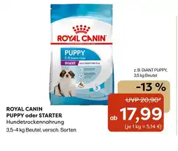 ZOO & Co Royal canin puppy oder starter Angebot