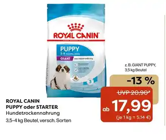 ZOO & Co Royal canin puppy oder starter Angebot