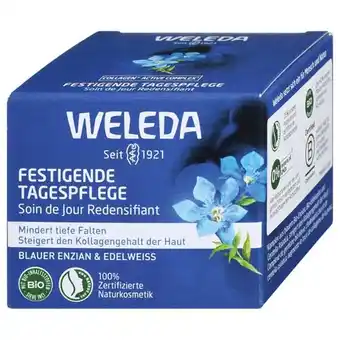 dm Festigende Tagespflege dm Angebot