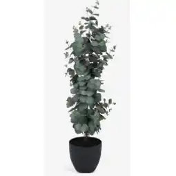 JYSK Kunstpflanze RIPA H90cm grüner Eucalyptus 6425034 JYSK Angebot