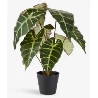 JYSK Kunstpflanze MARIUS 4912029 JYSK Angebot