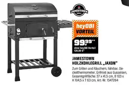 OBI Holzkohlegrill jaxon Angebot