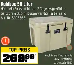 OBI Kühlbox Angebot
