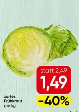 Spar zartes Frühkraut Angebot