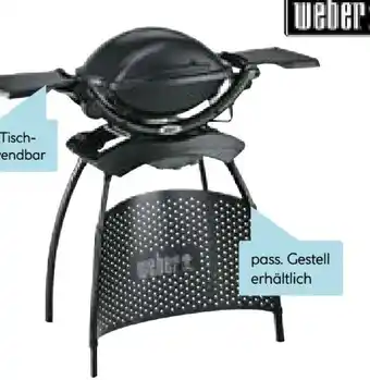 Hellweg Weber Elektrogriller Q 1400 Angebot