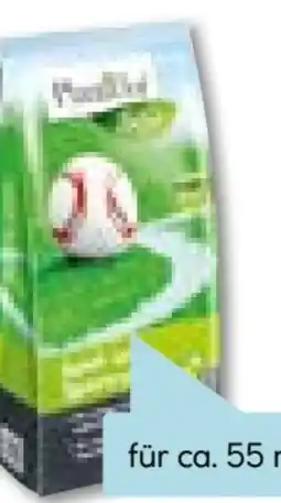 Hellweg Plantiflor Spiel- und Sportrasensamen Angebot