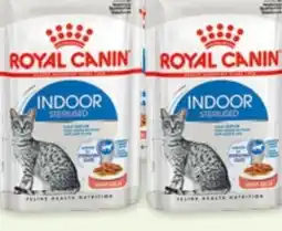 Fressnapf Royal Canin Katzennahrung Angebot