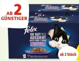 Fressnapf Purina Felix Katzennahrung Angebot