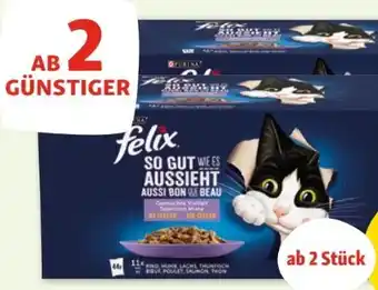 Fressnapf Purina Felix Katzennahrung Angebot