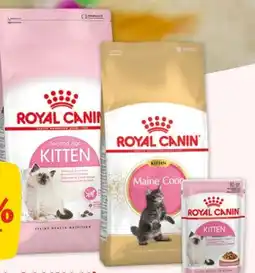 Fressnapf Royal Canin Trockennahrung Second Age Kitten Angebot