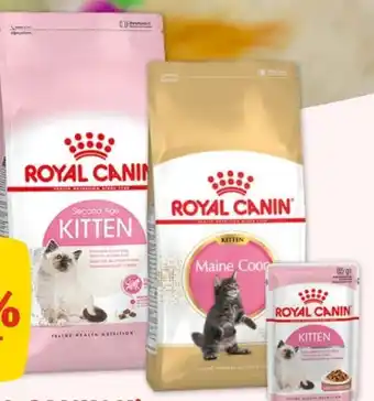 Fressnapf Royal Canin Trockennahrung Second Age Kitten Angebot