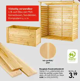 Hellweg Douglasie-Konstruktionsbrett Angebot