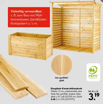 Hellweg Douglasie-Konstruktionsbrett Angebot