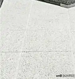 Hellweg Terassenplatte Country Angebot