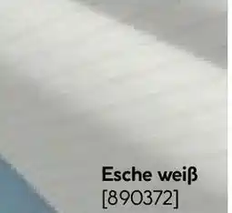 Hellweg Paneel Basic Angebot
