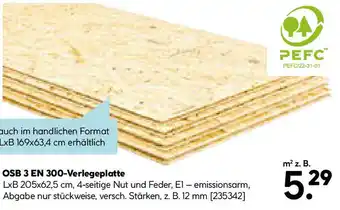 Hellweg OSB 3 EN 300- Verlegeplatte Angebot