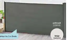 Hellweg flexibler Sichtschutz Angebot