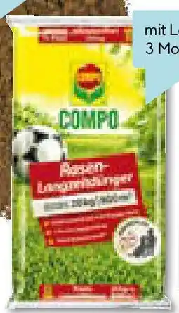 Hellweg Spiel- und Sportrasen Angebot