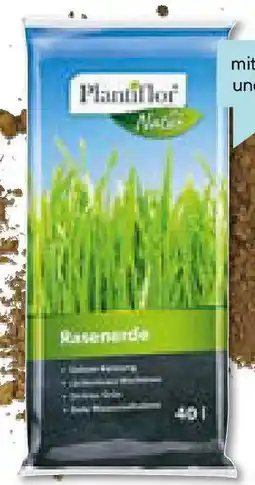 Hellweg Rasenerde Angebot