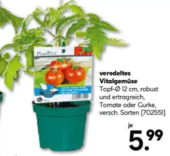 Hellweg veredeltes Vitalgemüse Angebot