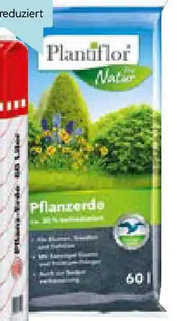 Hellweg Pflanzerde Angebot