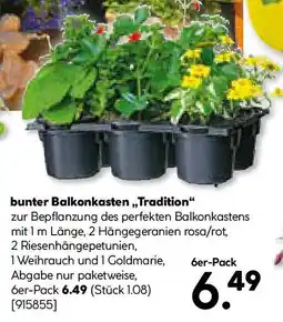 Hellweg bunter Balkonkasten Tradition Angebot
