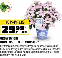 OBI Grow by obi buster hortensie bloombuster Angebot