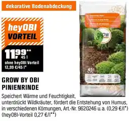 OBI Pinienrinde Angebot