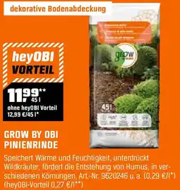 OBI Pinienrinde Angebot