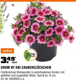 OBI Zauberglöckchen Angebot