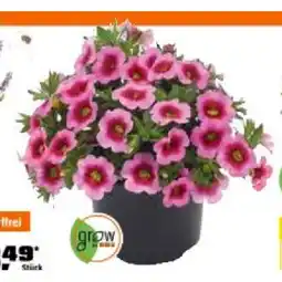 OBI Zauberglöckchen OBI Angebot
