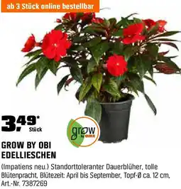 OBI Edellieschen Angebot