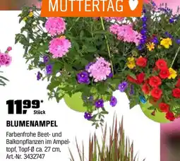 OBI Blumenampel Angebot
