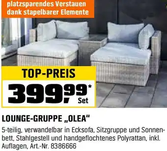 OBI Lounge-gruppe olea Angebot