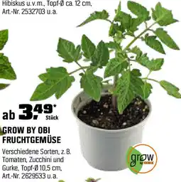 OBI Fruchtgemüse Angebot
