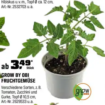 OBI Fruchtgemüse Angebot