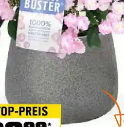 OBI Pflanzgefäss lavalle Angebot